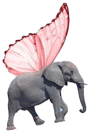 elefante